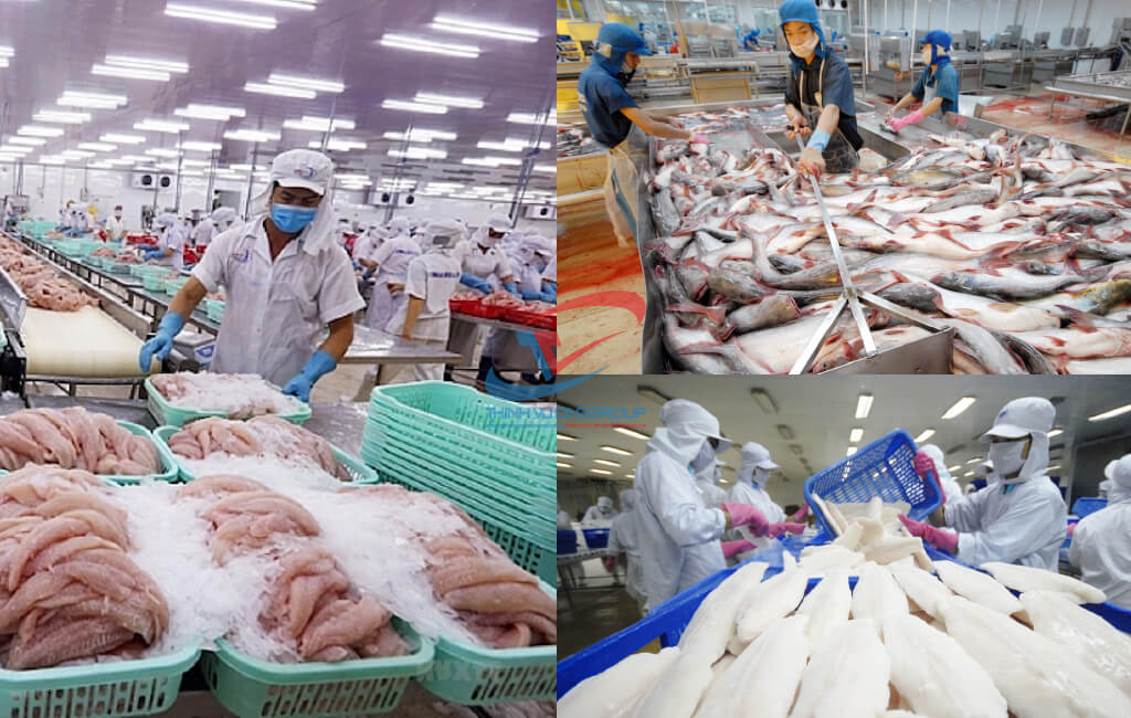 Ngành chế biến thủy sản ngày càng phát triển
