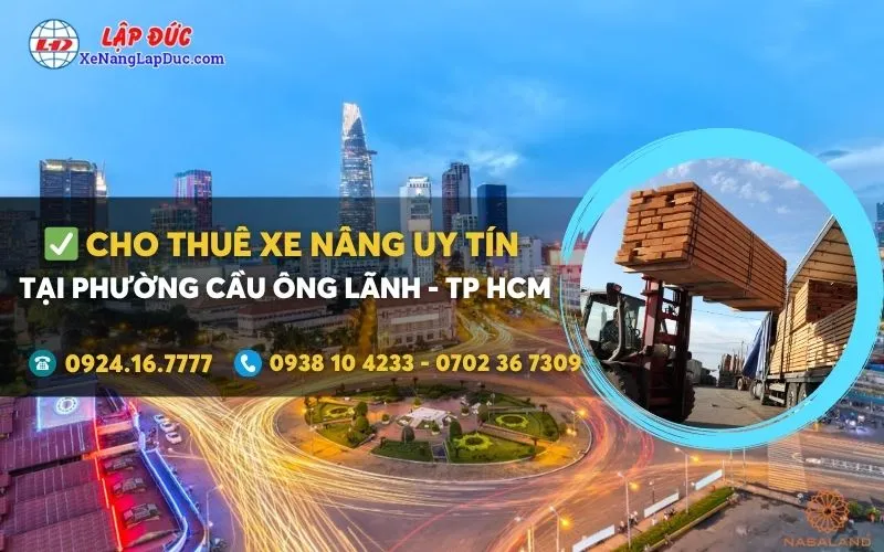 Cho thuê xe nâng điện tại Phường Cầu Ông Lãnh giá rẻ ✔️⭐️