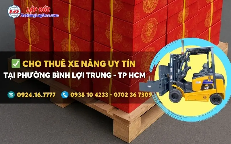Cho thuê xe nâng điện tại Phường Bình Lợi Trung giá rẻ ✔️⭐️