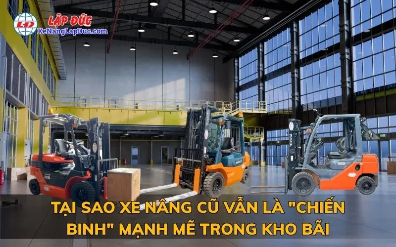 TẠI SAO XE NÂNG CŨ VẪN LÀ "CHIẾN BINH" MẠNH MẼ TRONG KHO BÃI