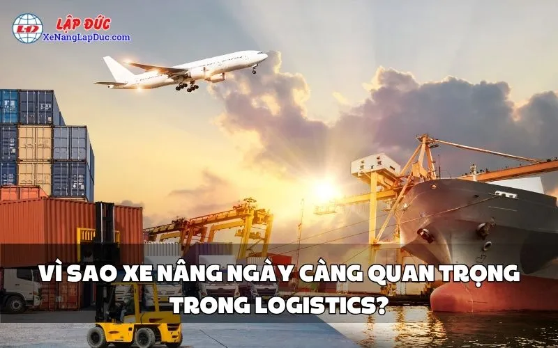 VÌ SAO XE NÂNG NGÀY CÀNG QUAN TRỌNG TRONG LOGISTICS?